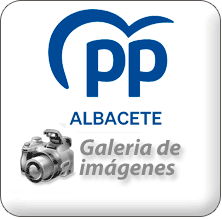 Galer&iacute;a de Im&aacute;genes