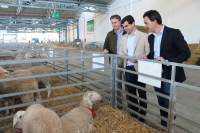 07-05-2015: Javier Cuenca visita Expovicaman.