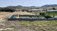 Albergue municipal de animales en Tobarra.