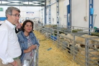 Cesárea Arnedo, junto a Javier González, presidente de la Junta Local del PP de La Roda y ganadero.