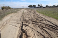 Imagen del estado de uno de los caminos públicos rurales de Albacete