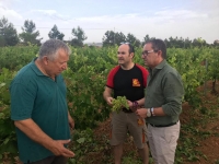 Antonio Martínez, junto alcalde de Casas Ibáñez, Javier Escribano, y José Enrique Soriano, de la Bodega Cooperativa Virgen de la Cabeza.