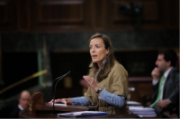 Carmen Navarro, en el Congreso de los Diputados.