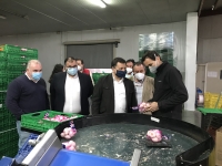 Manuel Serrano durante su visita a la empresa ‘J.A. Correll’