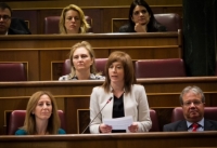 Irene Moreno en el Congreso de los Diputados.