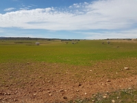 Finda del término municipal de Pozuelo donde está proyectada la macrogranja de cerdos.