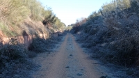 Vía Verde en la provincia de Albacete.