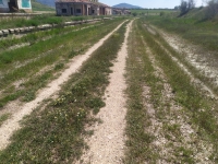 Tramo de la Vía Verde a su paso por la Estación de Villapalacios.